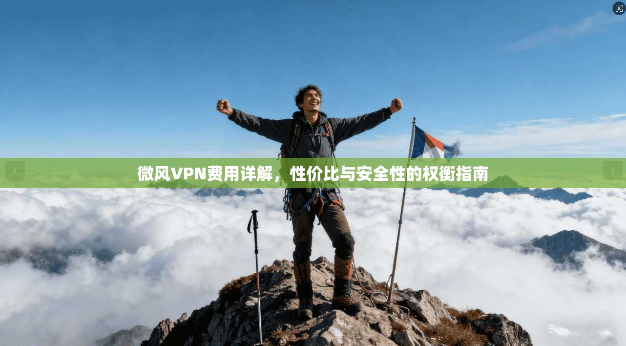微风VPN费用详解，性价比与安全性的权衡指南  第1张