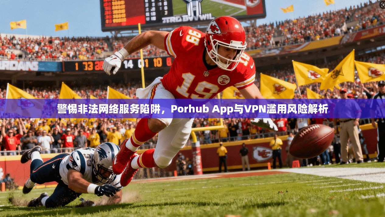 警惕非法网络服务陷阱，Porhub App与VPN滥用风险解析  第1张