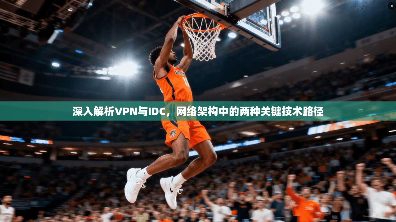 深入解析VPN与IDC，网络架构中的两种关键技术路径  第1张