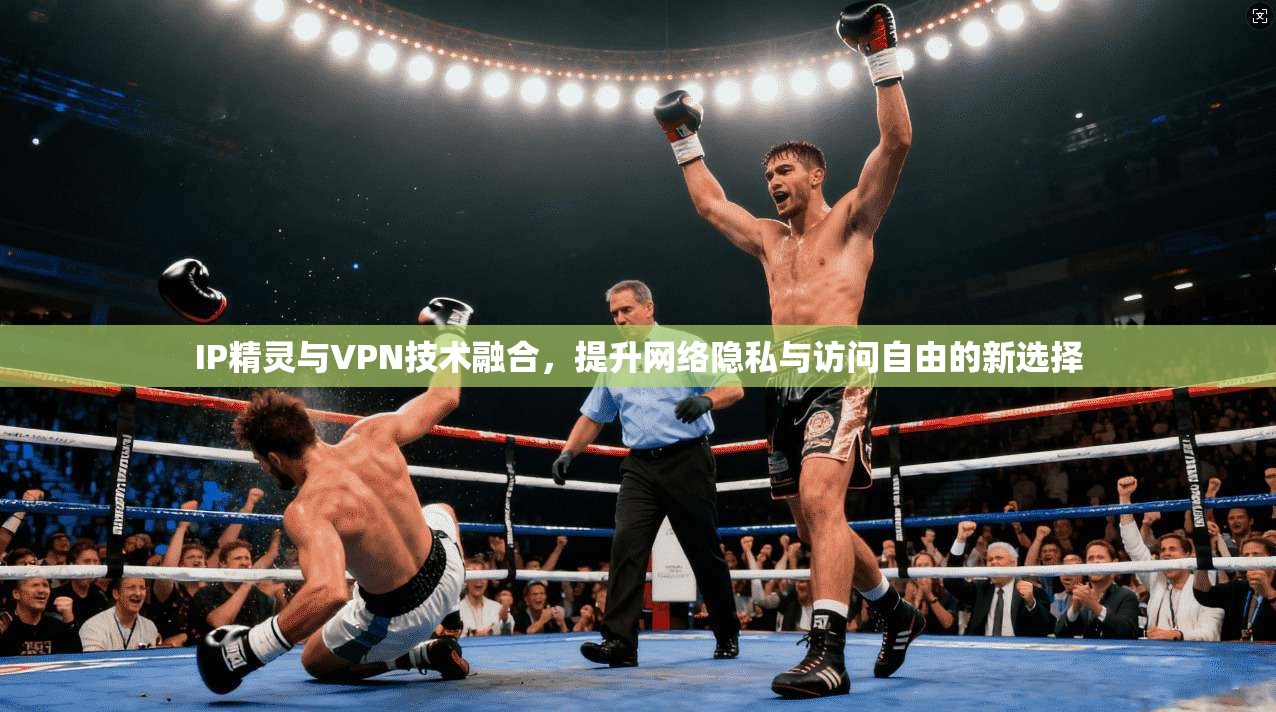 IP精灵与VPN技术融合，提升网络隐私与访问自由的新选择  第1张