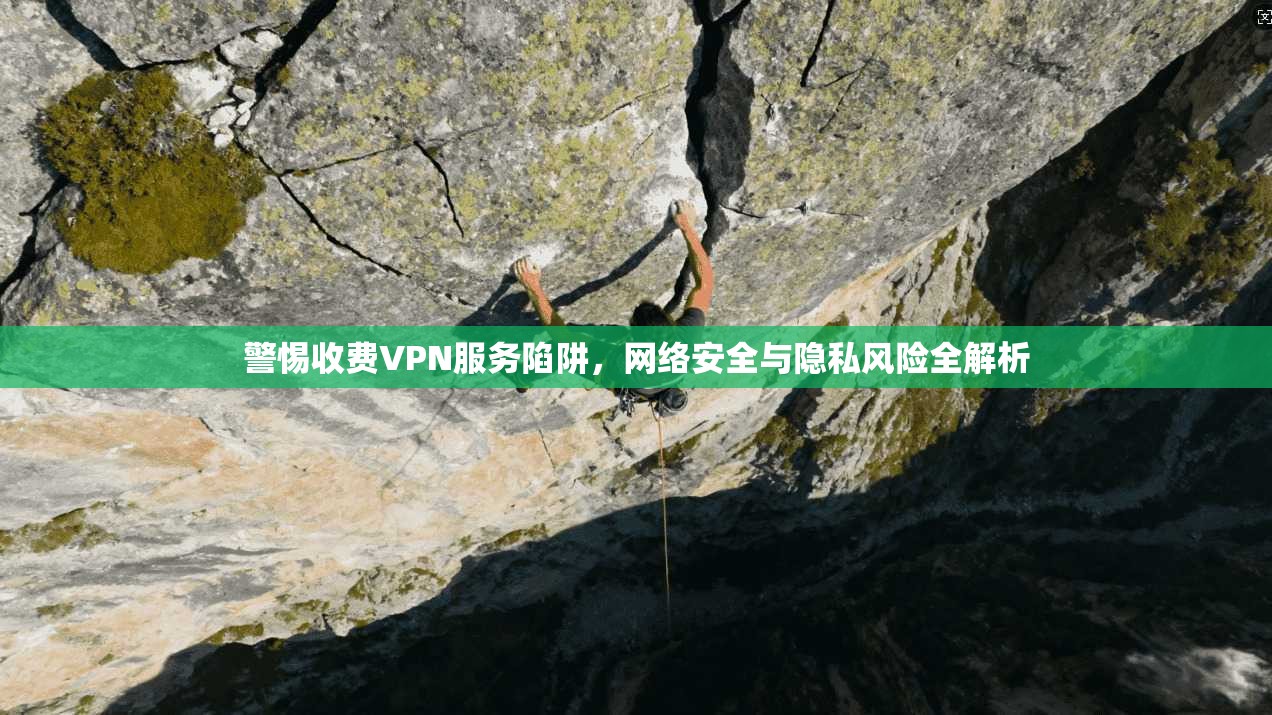 警惕收费VPN服务陷阱，网络安全与隐私风险全解析  第1张