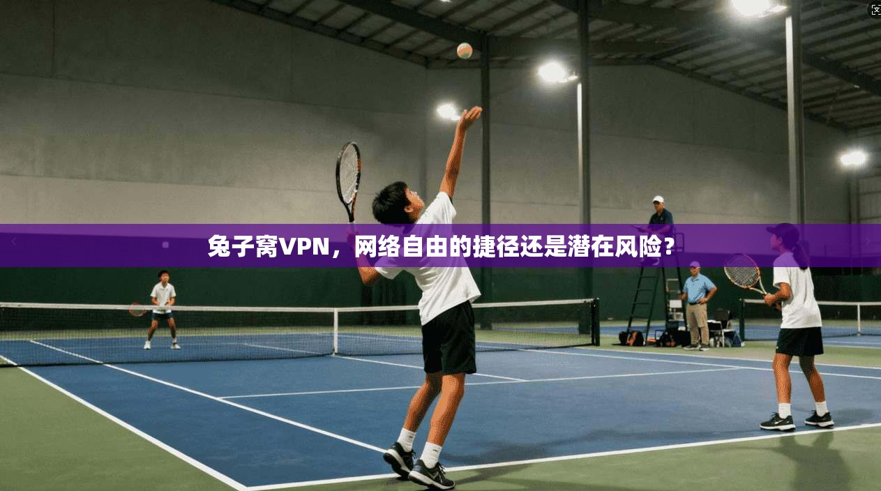 兔子窝VPN，网络自由的捷径还是潜在风险？  第1张