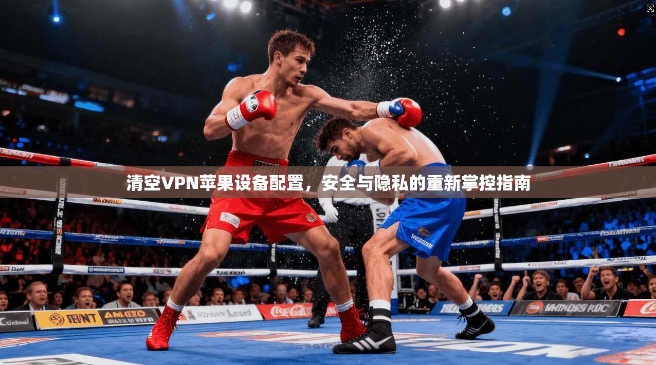 清空VPN苹果设备配置，安全与隐私的重新掌控指南  第1张
