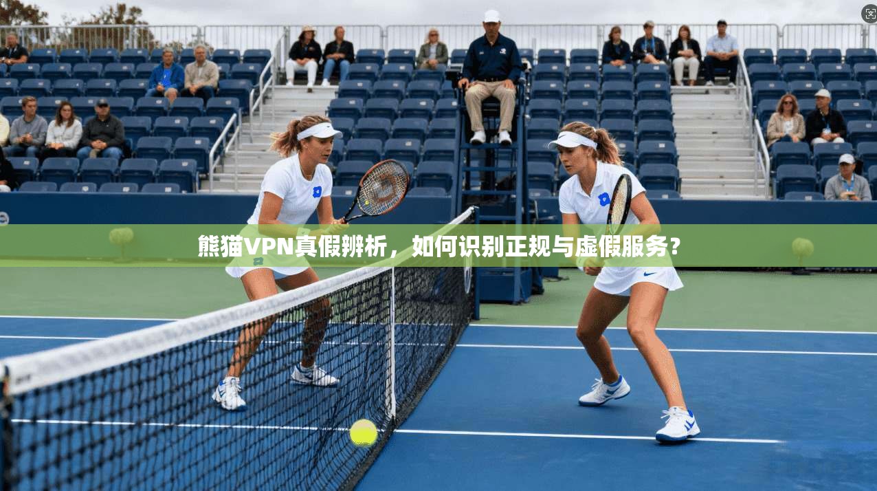 熊猫VPN真假辨析，如何识别正规与虚假服务？  第1张
