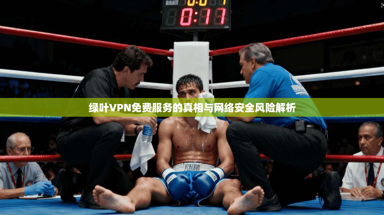 绿叶VPN免费服务的真相与网络安全风险解析  第1张