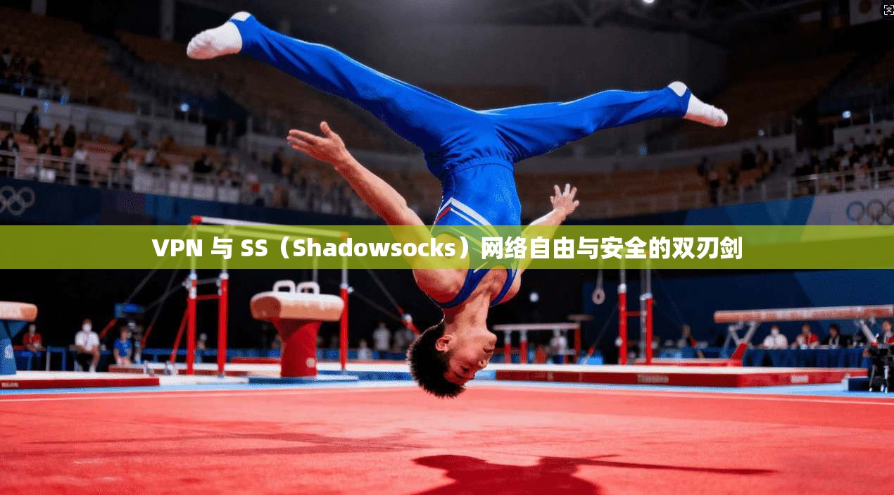 VPN 与 SS（Shadowsocks）网络自由与安全的双刃剑  第1张
