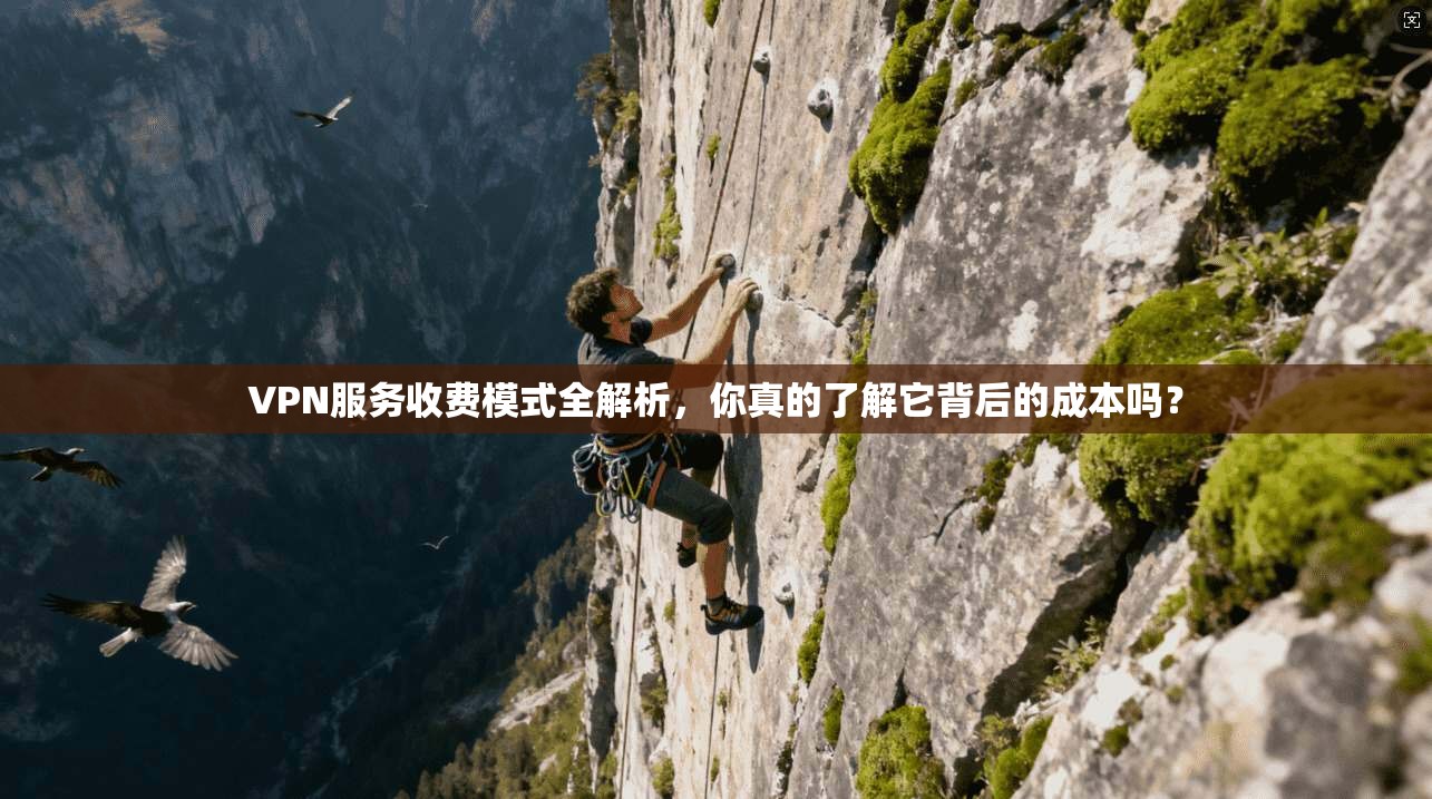 VPN服务收费模式全解析，你真的了解它背后的成本吗？  第1张