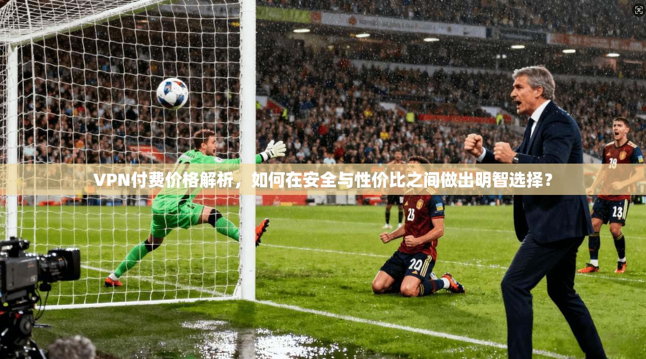 VPN付费价格解析，如何在安全与性价比之间做出明智选择？  第1张