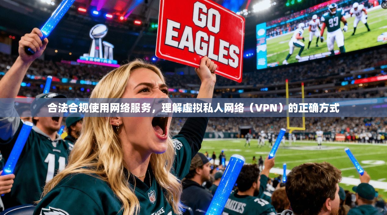 合法合规使用网络服务，理解虚拟私人网络（VPN）的正确方式  第1张