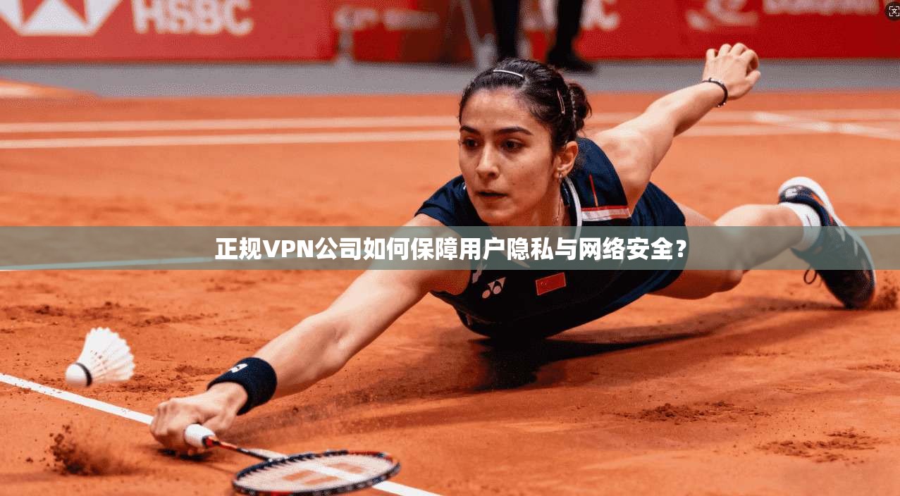 正规VPN公司如何保障用户隐私与网络安全？  第1张