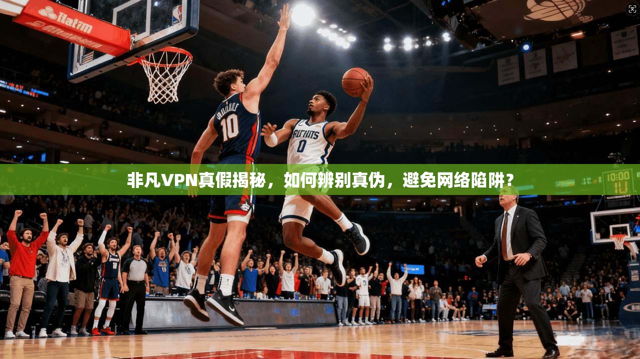 非凡VPN真假揭秘，如何辨别真伪，避免网络陷阱？  第1张