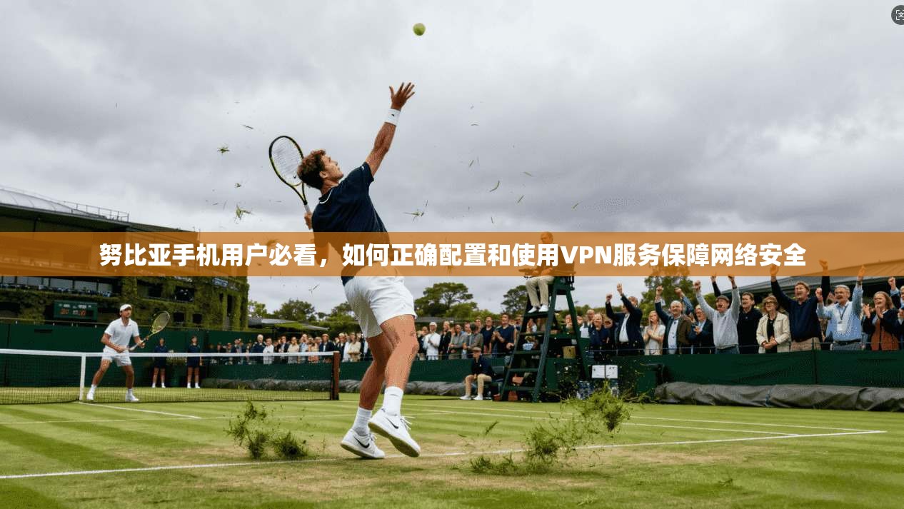 努比亚手机用户必看，如何正确配置和使用VPN服务保障网络安全  第1张