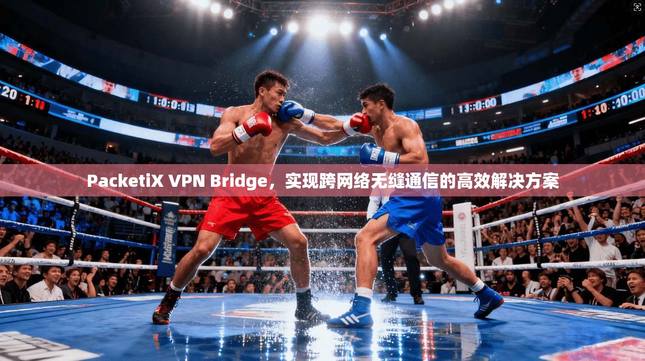 PacketiX VPN Bridge，实现跨网络无缝通信的高效解决方案  第1张