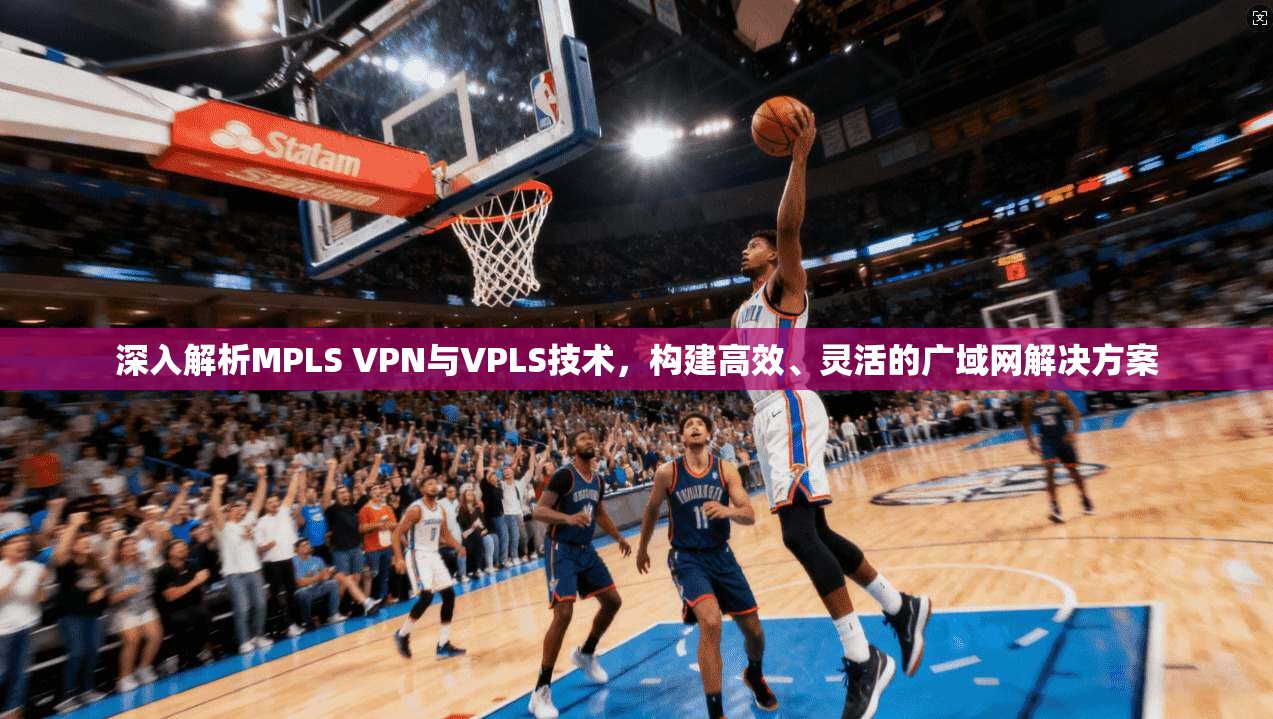 深入解析MPLS VPN与VPLS技术，构建高效、灵活的广域网解决方案  第1张