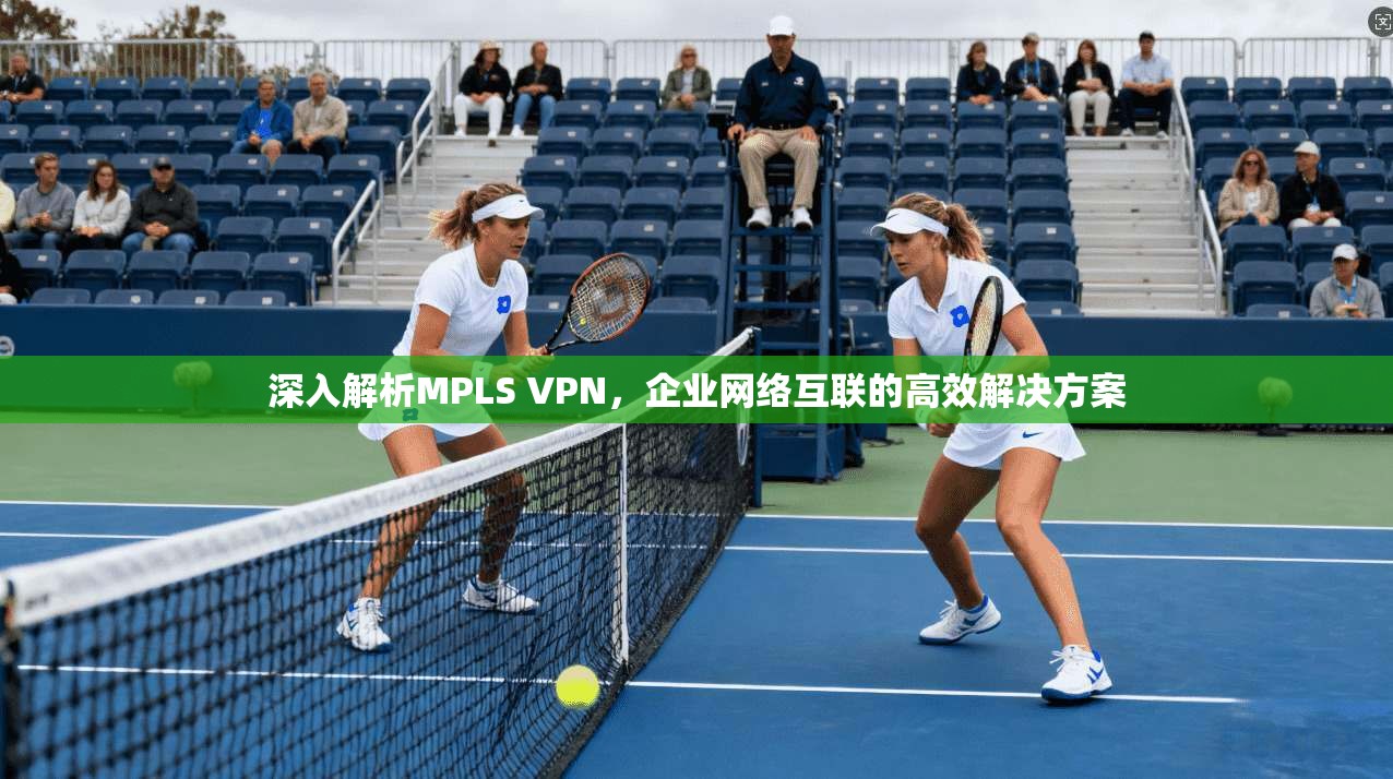 深入解析MPLS VPN，企业网络互联的高效解决方案  第1张