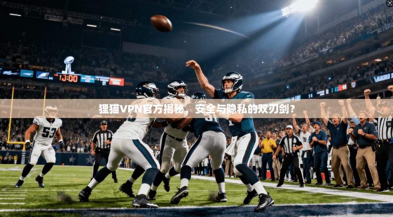 狸猫VPN官方揭秘，安全与隐私的双刃剑？  第1张