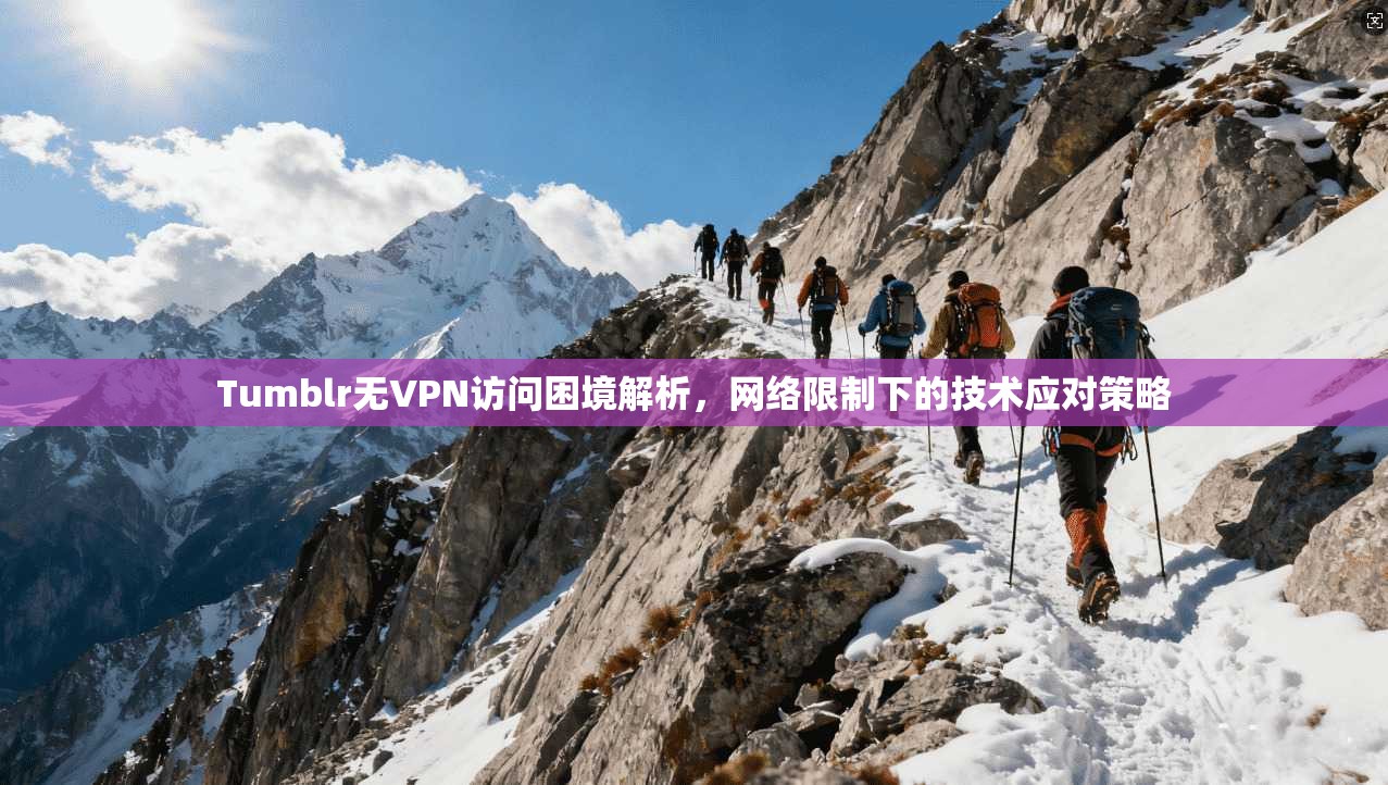 Tumblr无VPN访问困境解析，网络限制下的技术应对策略  第1张