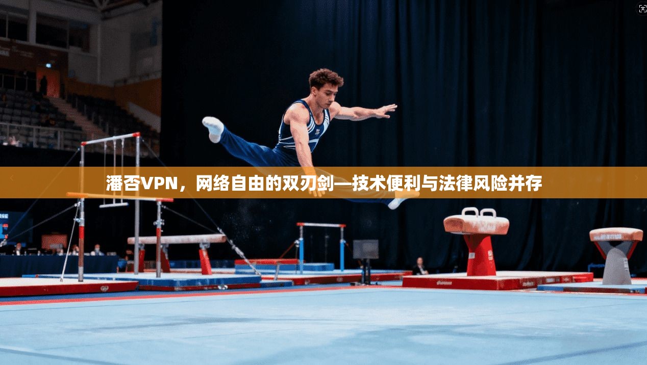 潘否VPN，网络自由的双刃剑—技术便利与法律风险并存  第1张