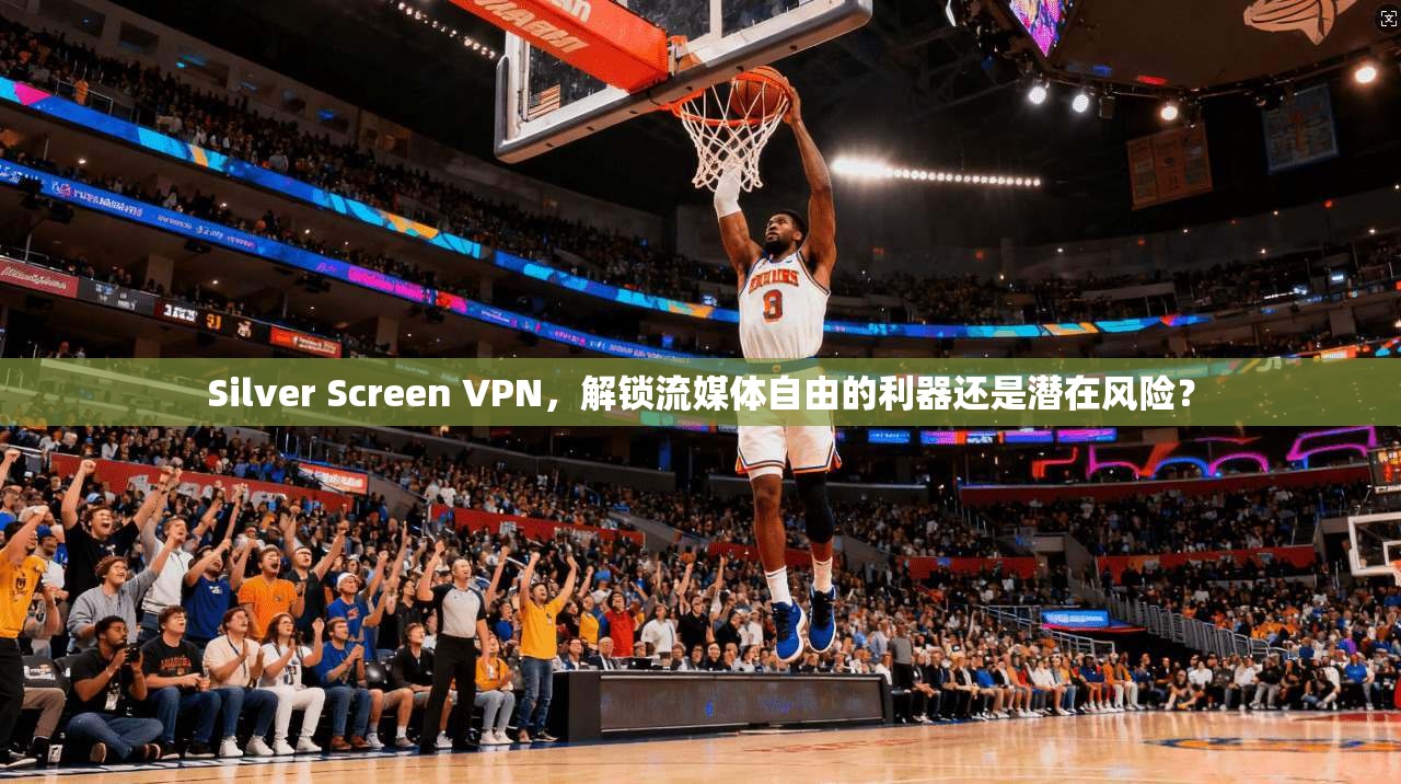 Silver Screen VPN，解锁流媒体自由的利器还是潜在风险？  第1张