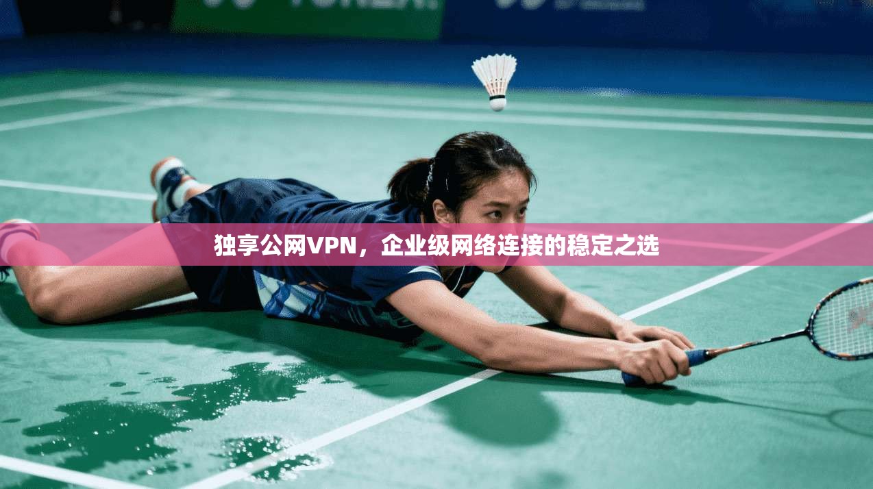 独享公网VPN，企业级网络连接的稳定之选  第1张