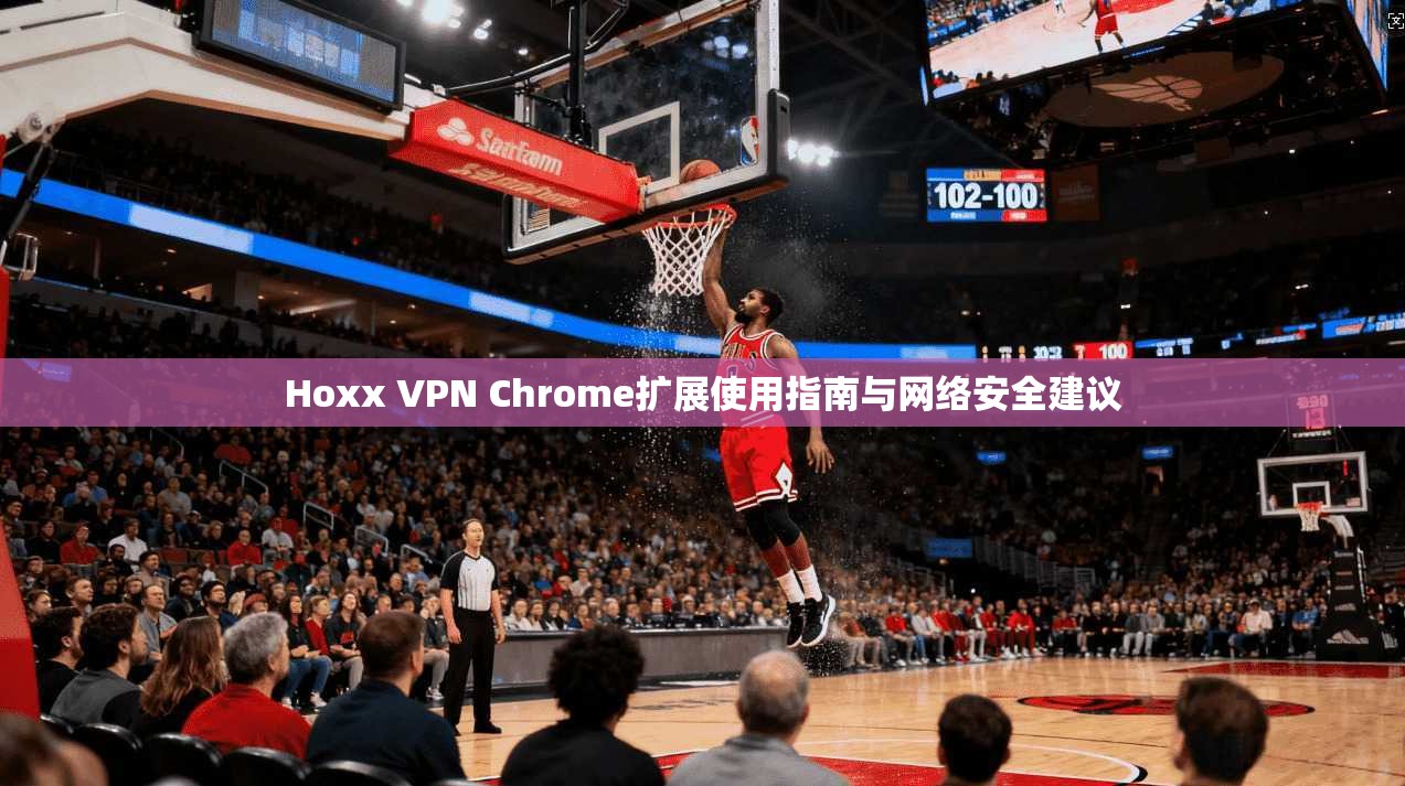 Hoxx VPN Chrome扩展使用指南与网络安全建议  第1张
