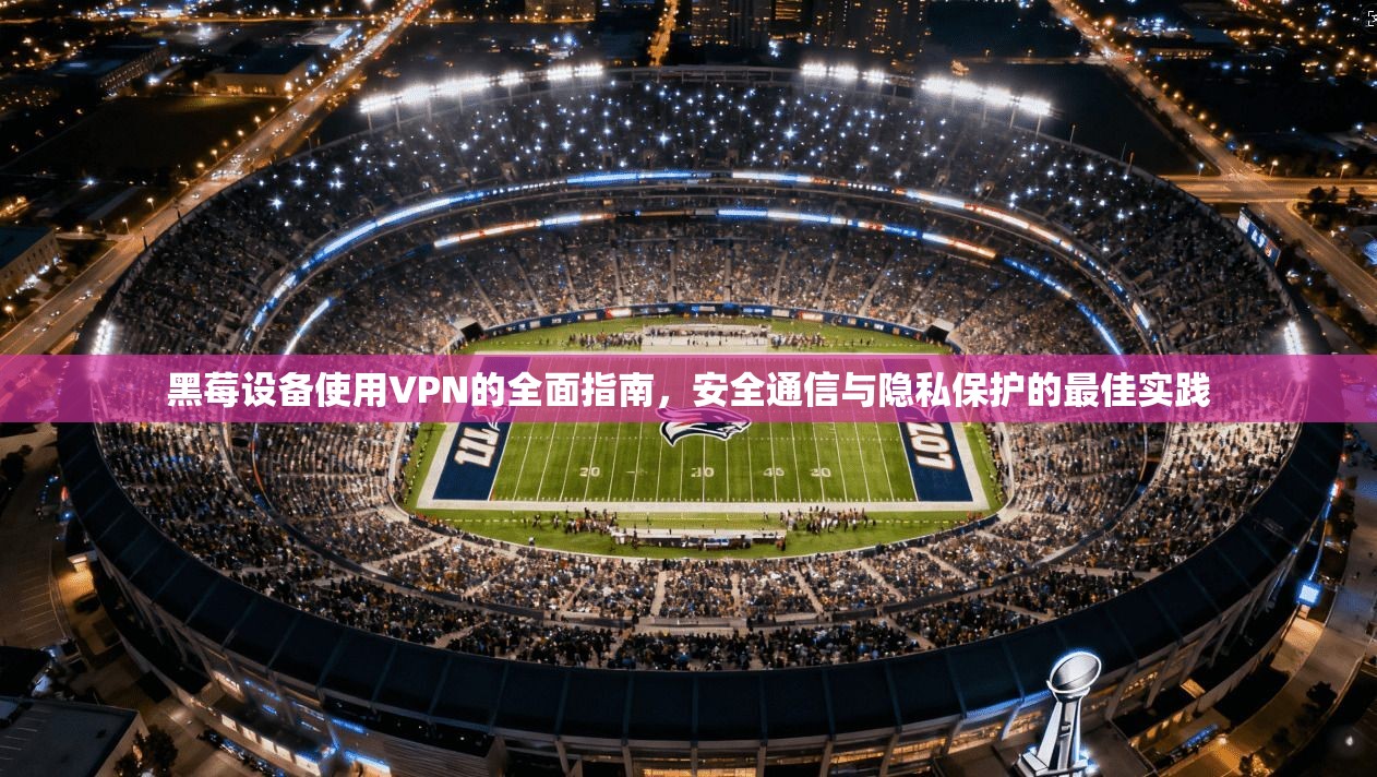 黑莓设备使用VPN的全面指南，安全通信与隐私保护的最佳实践  第1张