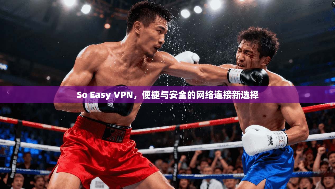 So Easy VPN，便捷与安全的网络连接新选择  第1张
