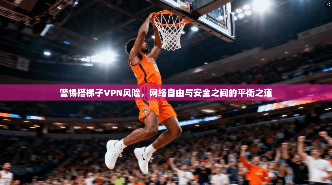 警惕搭梯子VPN风险，网络自由与安全之间的平衡之道  第1张