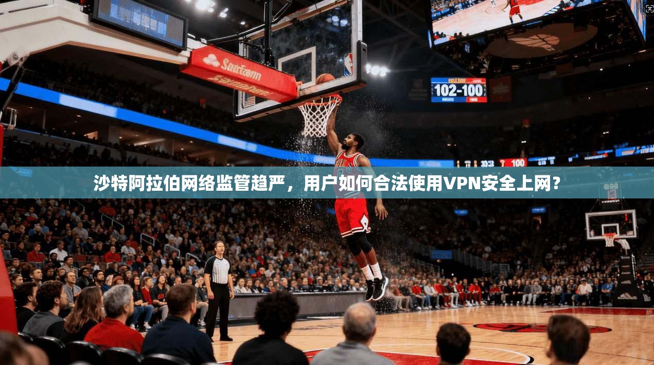 沙特阿拉伯网络监管趋严，用户如何合法使用VPN安全上网？  第1张