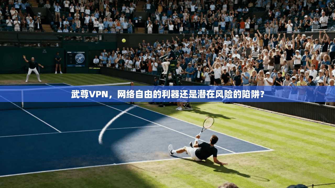 武尊VPN，网络自由的利器还是潜在风险的陷阱？  第1张