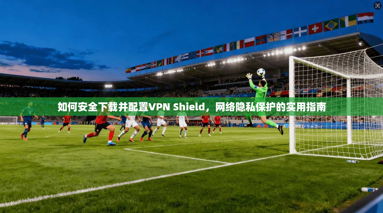 如何安全下载并配置VPN Shield，网络隐私保护的实用指南  第1张