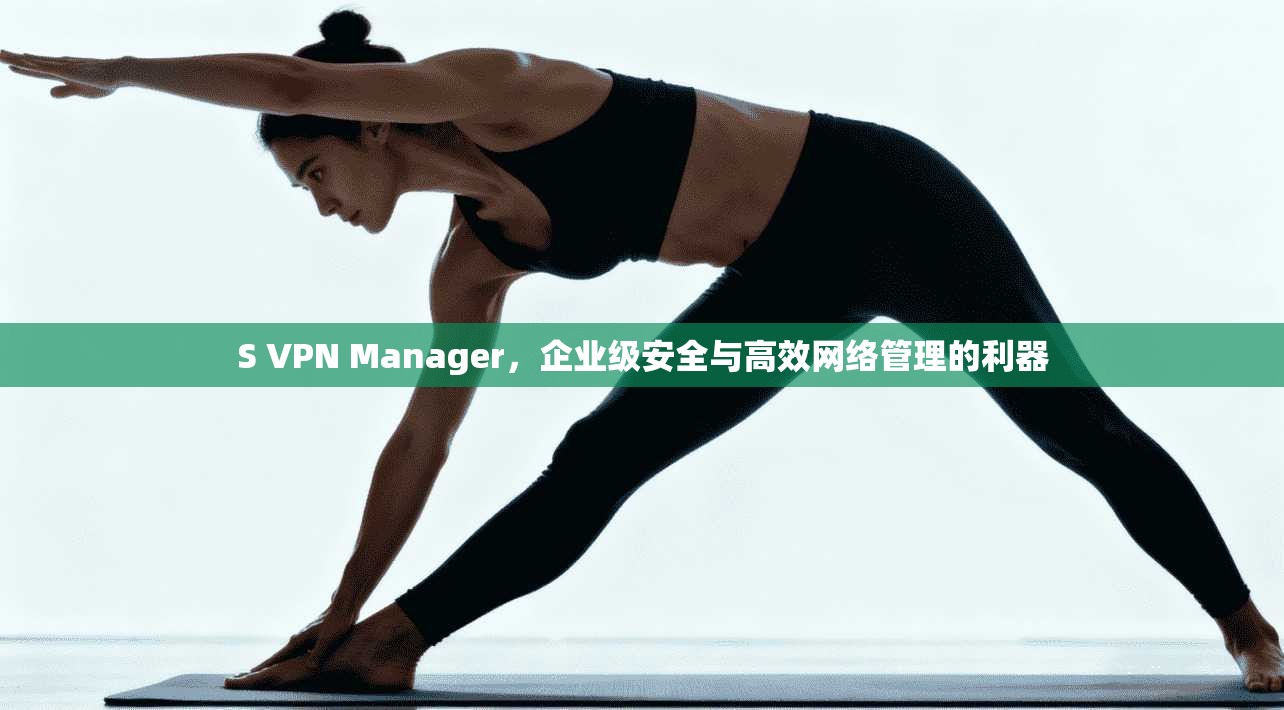 S VPN Manager，企业级安全与高效网络管理的利器  第1张
