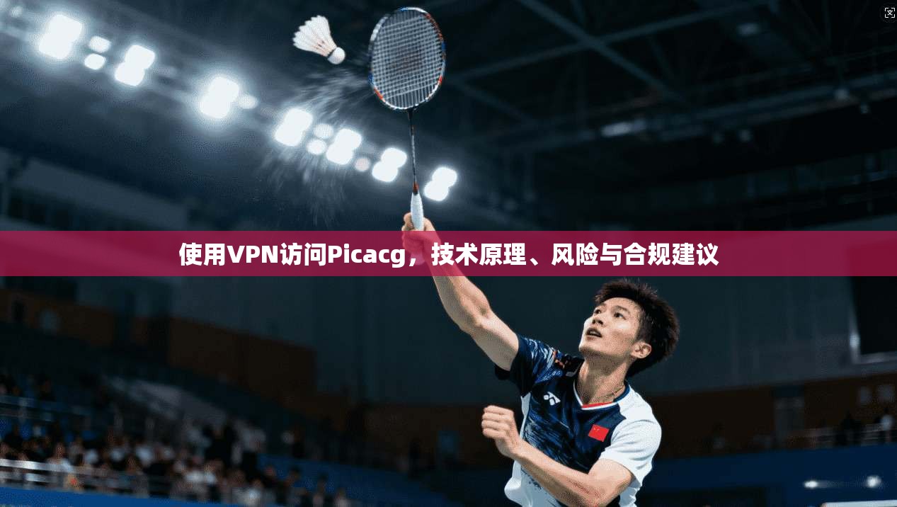 使用VPN访问Picacg，技术原理、风险与合规建议  第1张