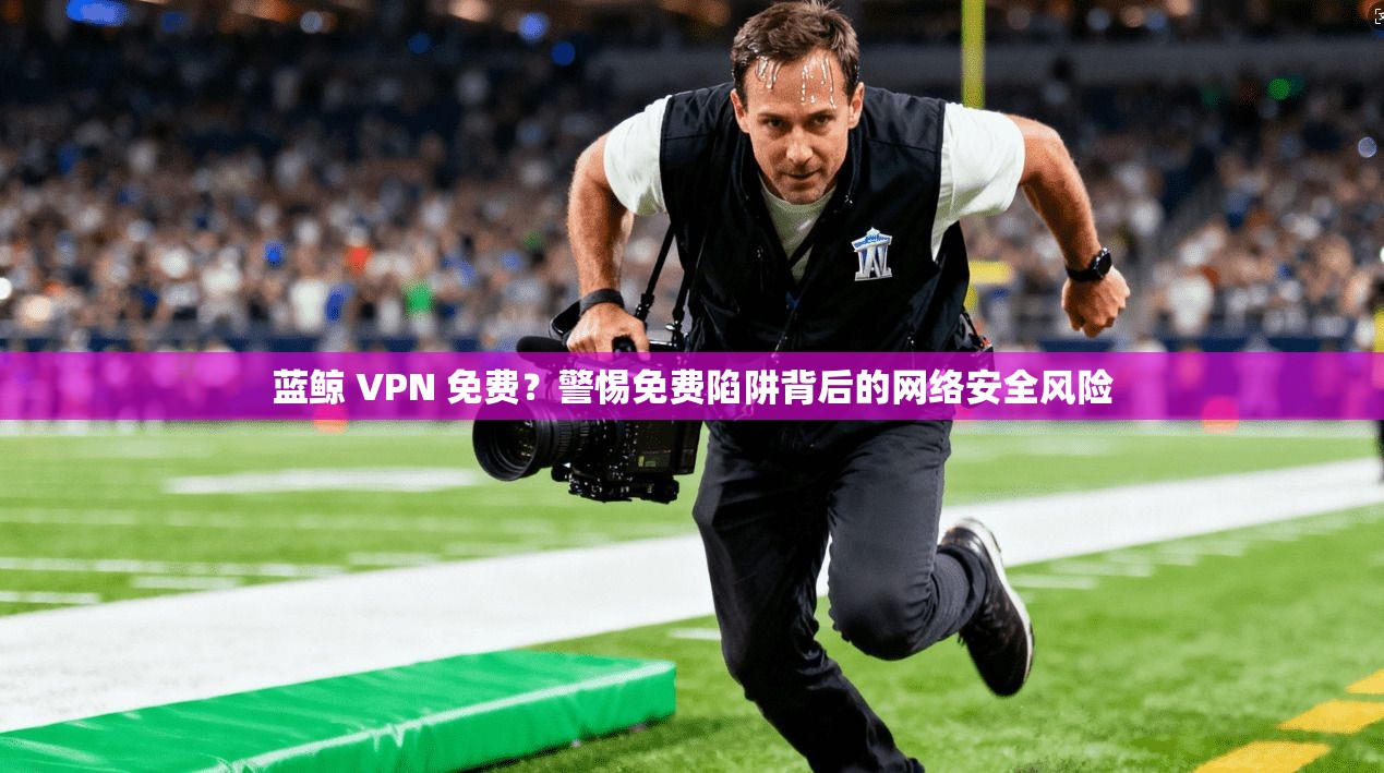 蓝鲸 VPN 免费？警惕免费陷阱背后的网络安全风险  第1张