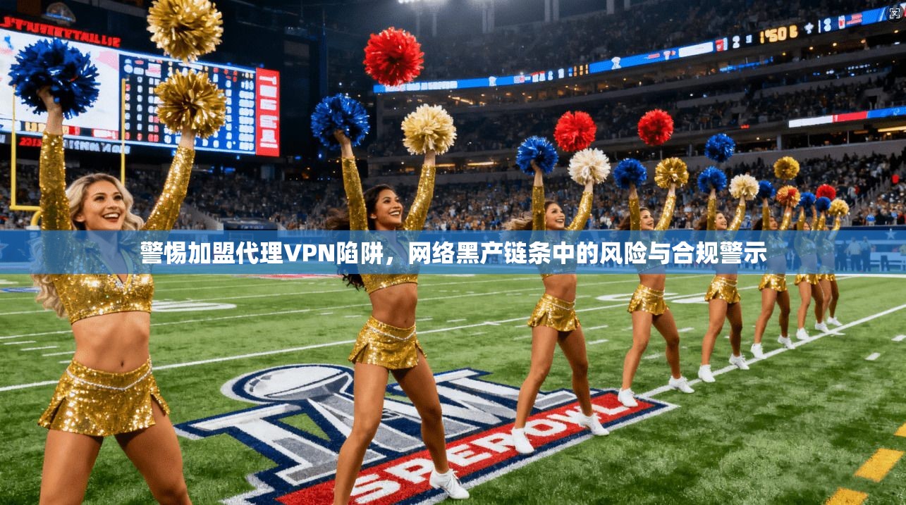 警惕加盟代理VPN陷阱，网络黑产链条中的风险与合规警示  第1张