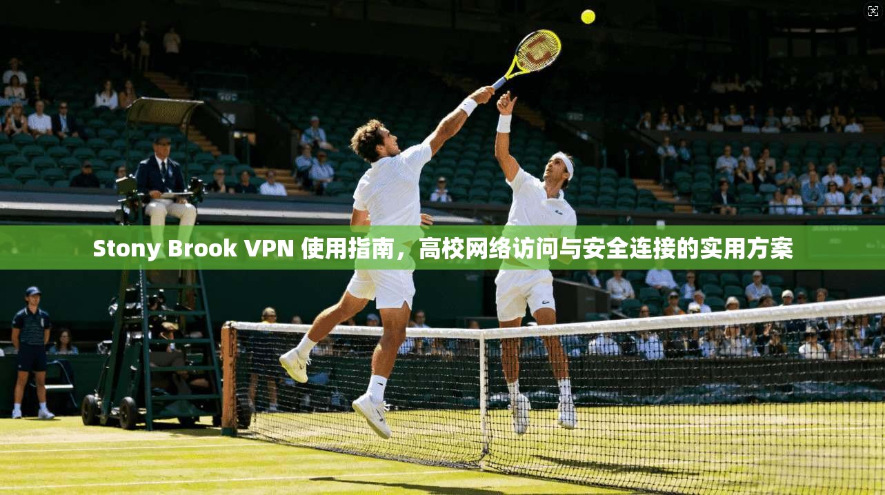 Stony Brook VPN 使用指南，高校网络访问与安全连接的实用方案  第1张