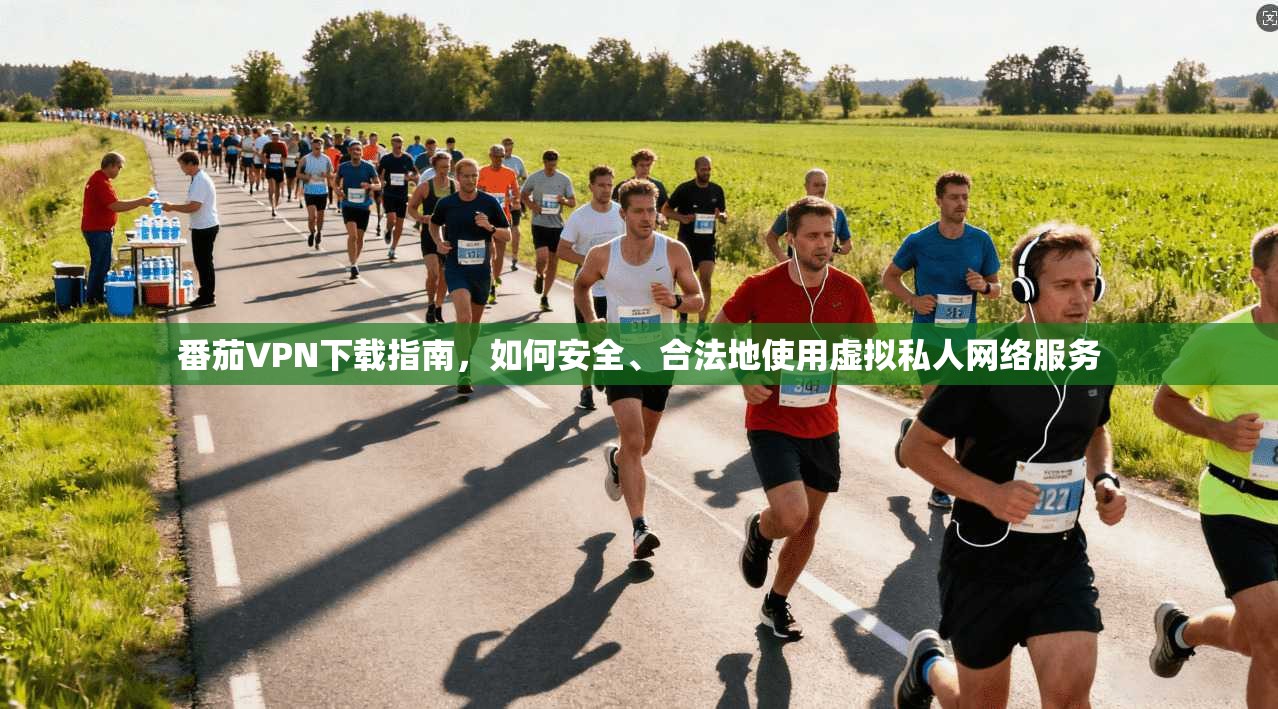 番茄VPN下载指南，如何安全、合法地使用虚拟私人网络服务  第1张