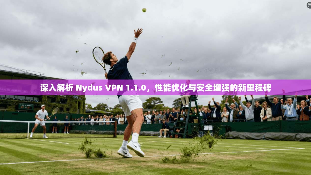 深入解析 Nydus VPN 1.1.0，性能优化与安全增强的新里程碑  第1张