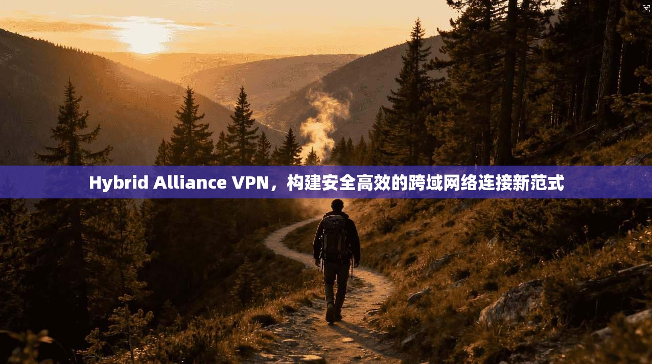 Hybrid Alliance VPN，构建安全高效的跨域网络连接新范式  第1张