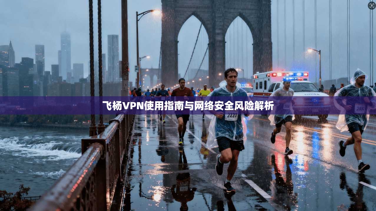 飞杨VPN使用指南与网络安全风险解析  第1张