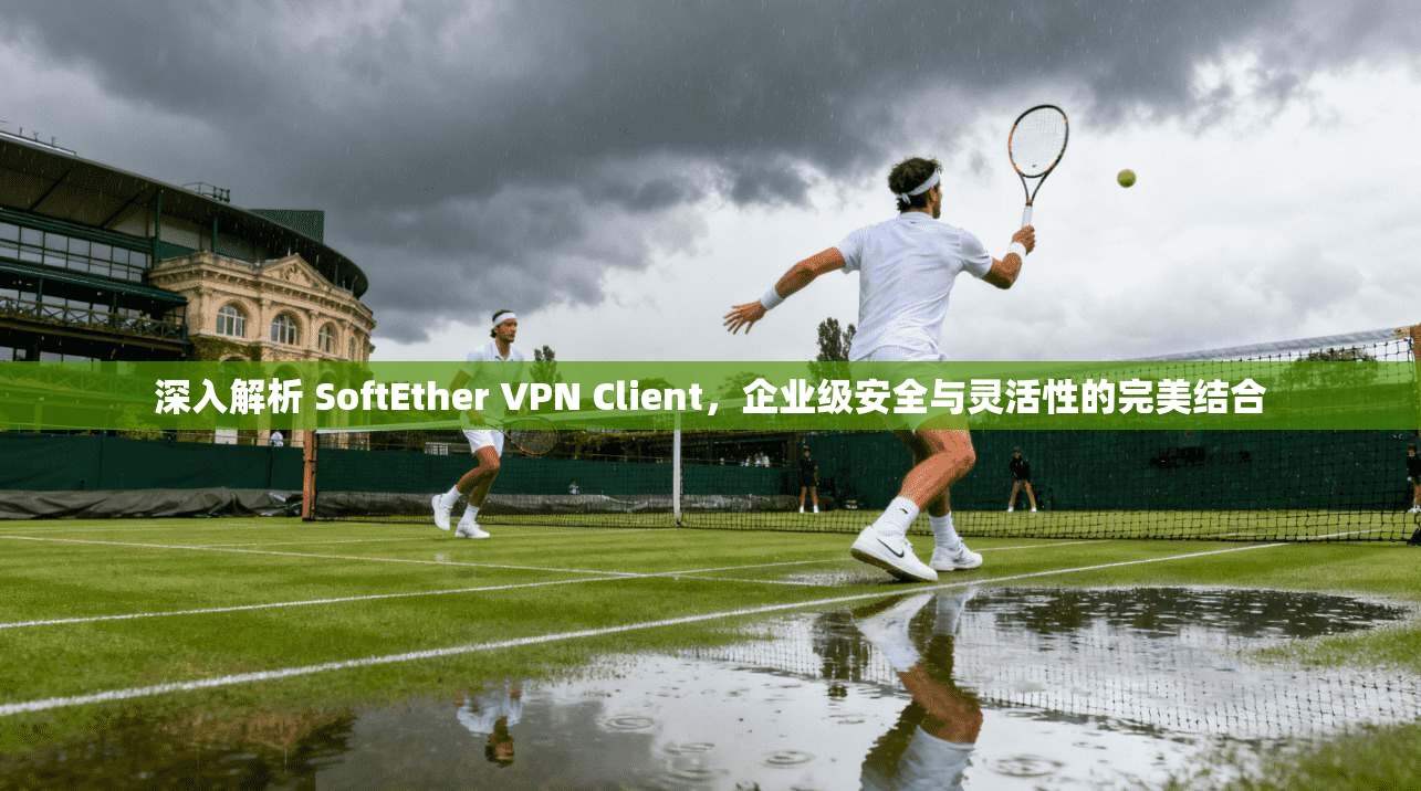 深入解析 SoftEther VPN Client，企业级安全与灵活性的完美结合  第1张
