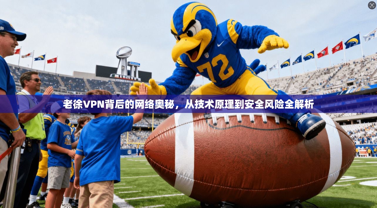 老徐VPN背后的网络奥秘，从技术原理到安全风险全解析  第1张