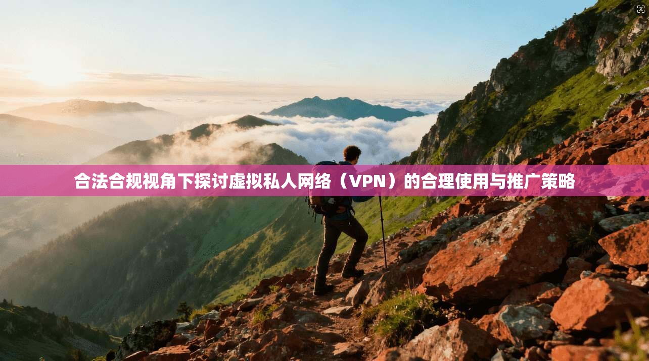 合法合规视角下探讨虚拟私人网络（VPN）的合理使用与推广策略  第1张