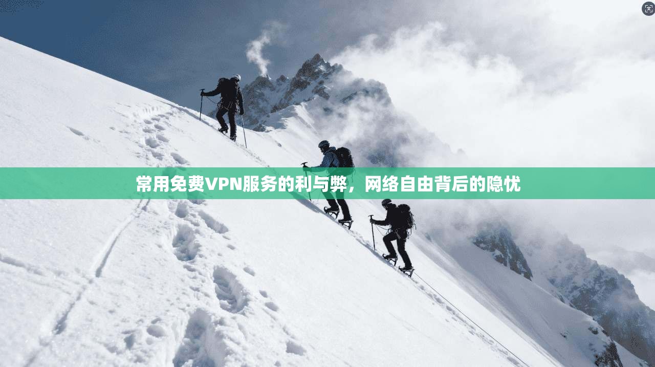 常用免费VPN服务的利与弊，网络自由背后的隐忧  第1张