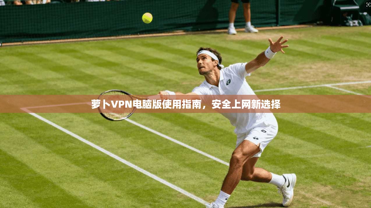 萝卜VPN电脑版使用指南，安全上网新选择  第1张