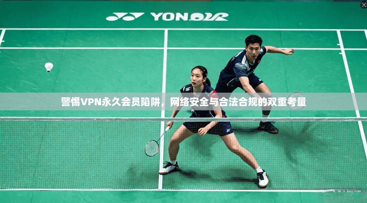 警惕VPN永久会员陷阱，网络安全与合法合规的双重考量  第1张