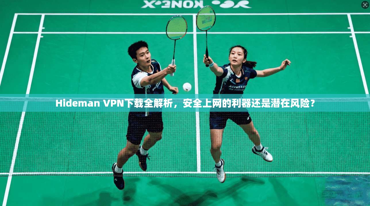 Hideman VPN下载全解析，安全上网的利器还是潜在风险？  第1张