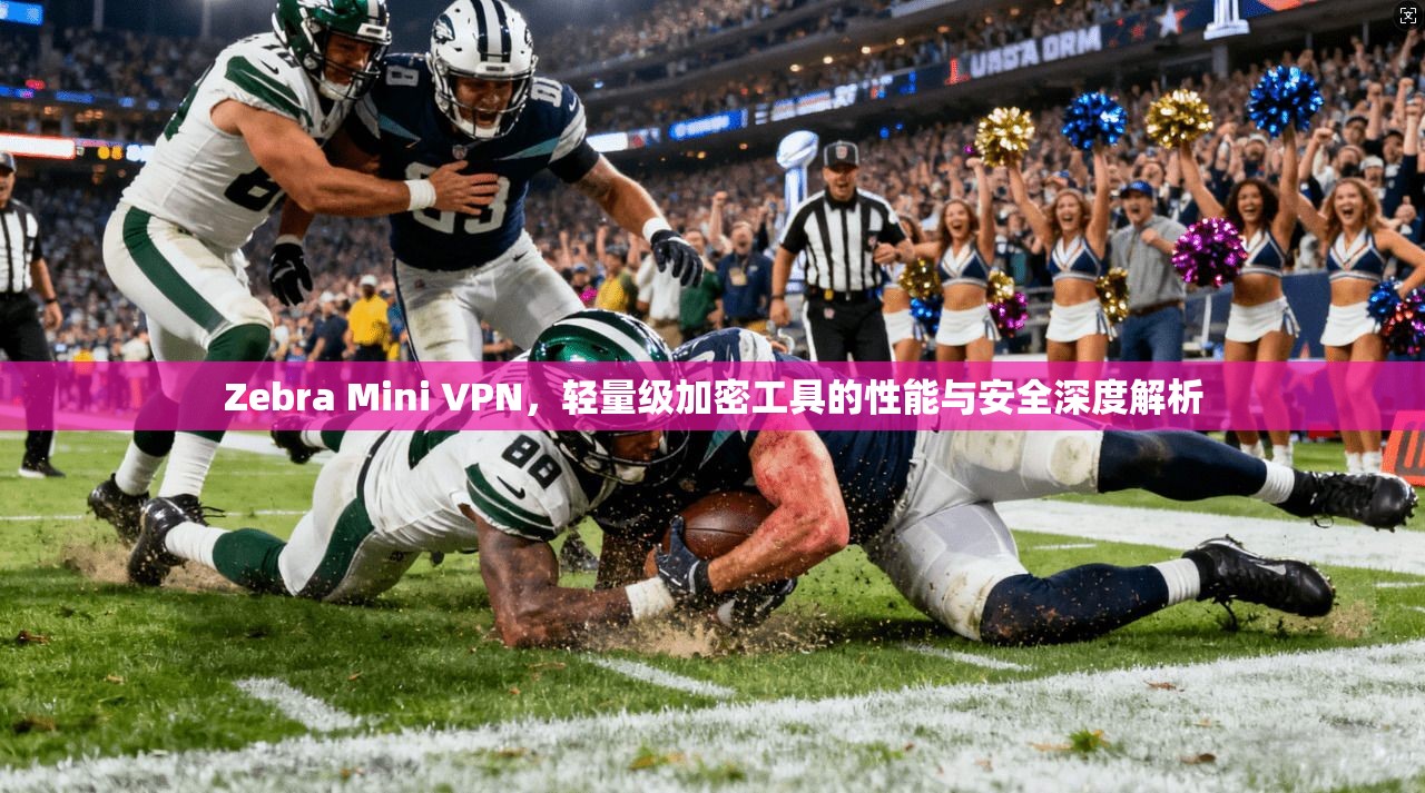 Zebra Mini VPN，轻量级加密工具的性能与安全深度解析  第1张
