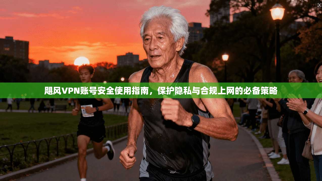 飓风VPN账号安全使用指南，保护隐私与合规上网的必备策略  第1张