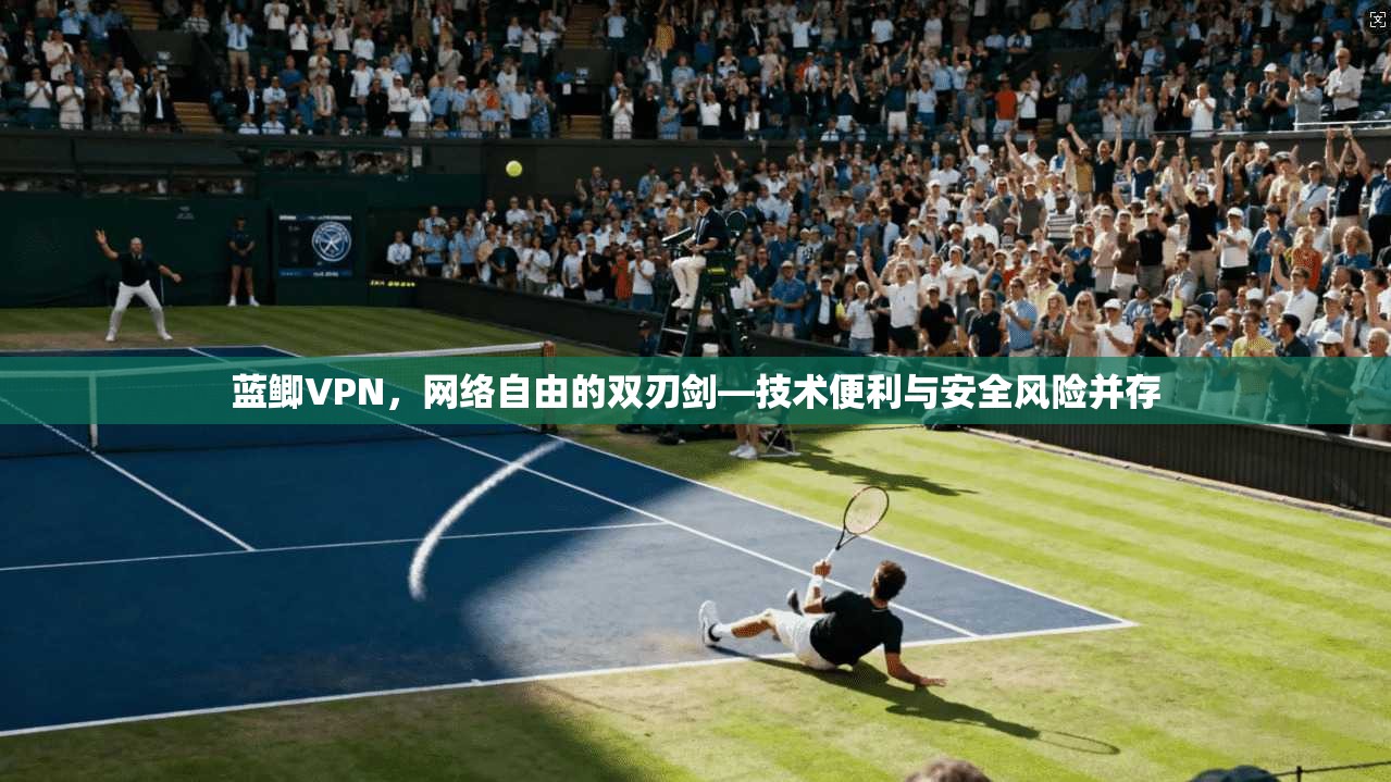 蓝鲫VPN，网络自由的双刃剑—技术便利与安全风险并存  第1张
